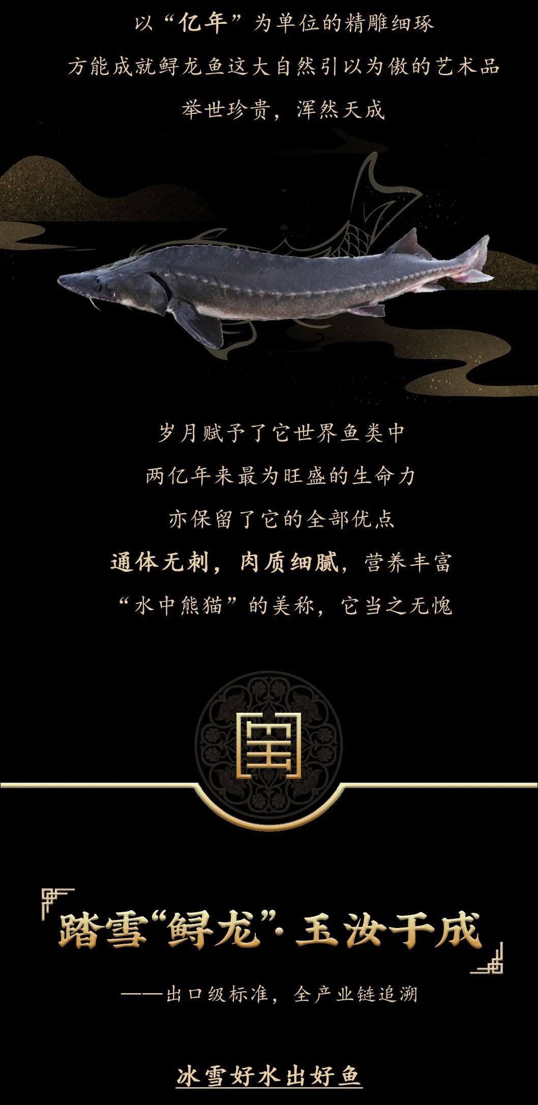 九州鱘龍魚片上新 | 自然臻藏，獻(xiàn)給吃魚有講究的人